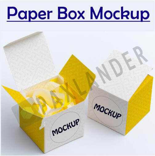 Understanding Mockups For Paper Boxes