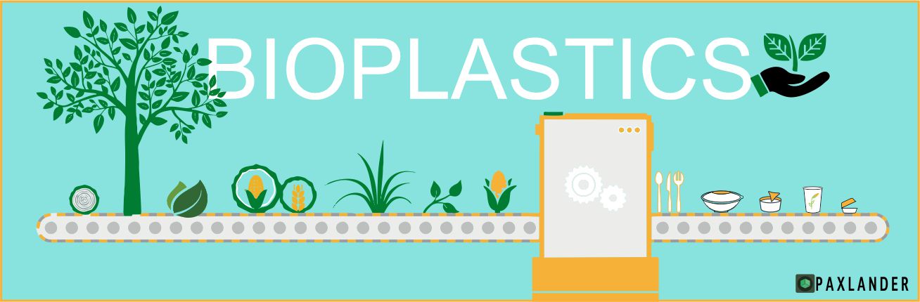 PLA based Bioplastics Vs. Areca Vs. Bagasse Image