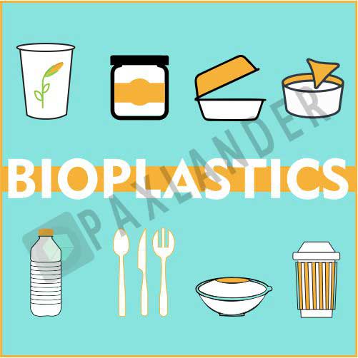 PLA based Bioplastics Vs. Areca Vs. Bagasse